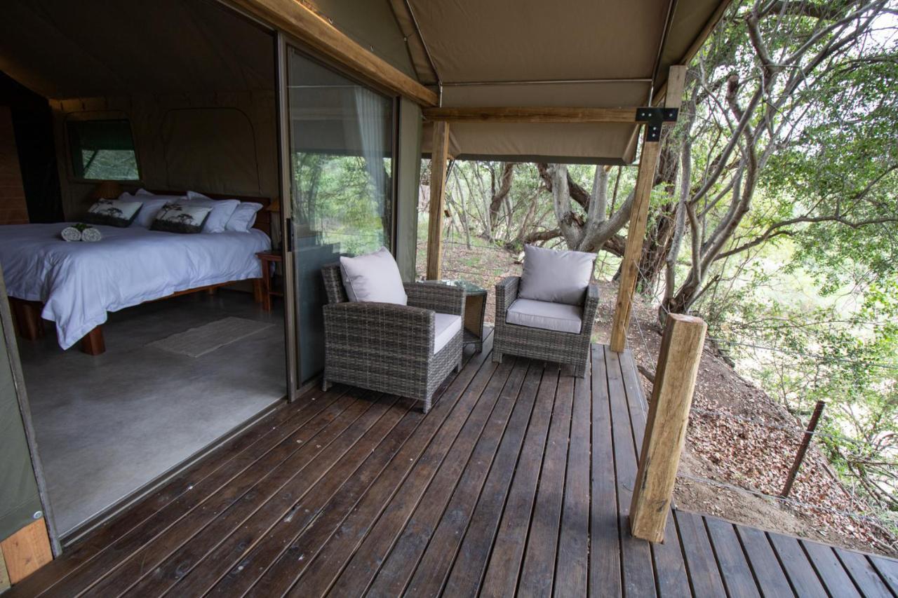 Little Africa Safari Lodge Hoedspruit